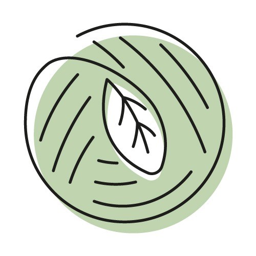B Corps zijn van de A-categorie